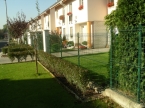 Leírás: C:\proba\img\pics\mely_kerites_vegyes_008_tn.jpg